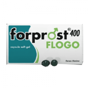 Forprost 400 flogo 15...