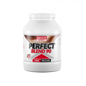 WhySport Perfect Blend 90...