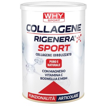 WHYSPORT COLLAGENE RIGEN SPORT