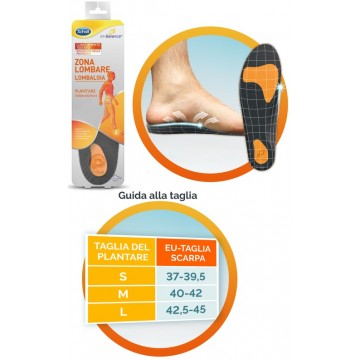 SCHOLL PLANTARE LOMBARE M 2PZ