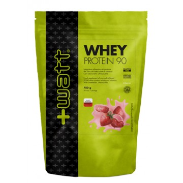 WHEY PROTEIN 90 FRA 750G DOYPA