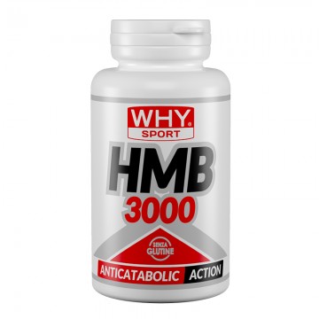 WhySport HMB 3000...