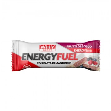 WhySport Energy Fuel Frutti...