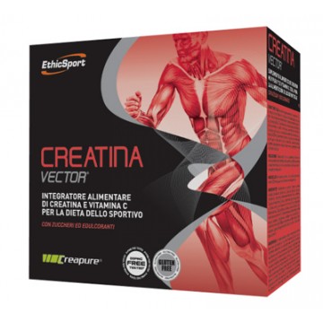 Creatina vect20bust etichsport