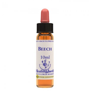 Beech essenza 10ml