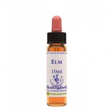 Elm essenza 10ml