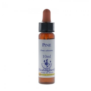 Pine essenza 10ml