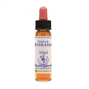 Star of bethlehemessenza10ml