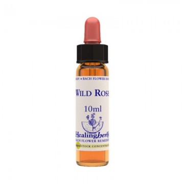 Wild rose essenza 10ml