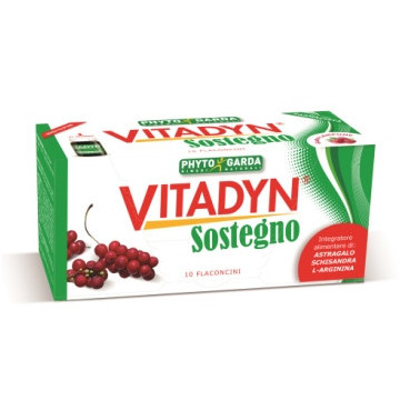 VITADYN SOSTEGNO 10 FLACONCINI 10 ML