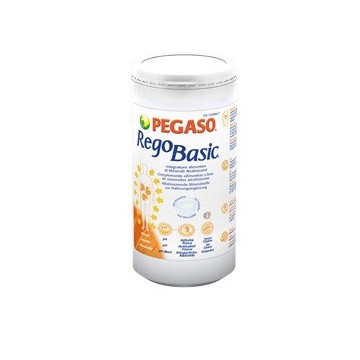 REGOBASIC POLVERE 250G