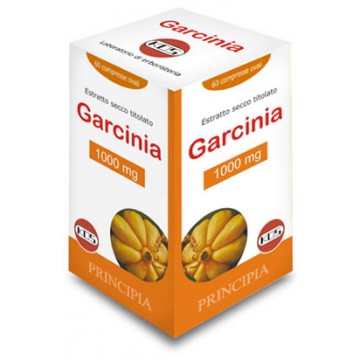 GARCINIA 1000MG 60CPR