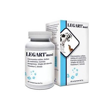 LEGART MAXI 60CPR