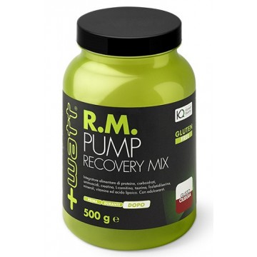 +WATT R.M. PUMP RECOVERY MIX MISCELA POST WORKOUT ENERGIZZANTE 500 G