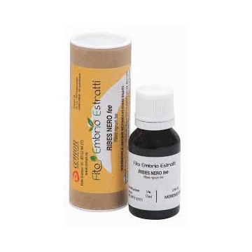 FEE RIBES NERO 15ML