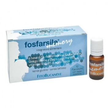 FOSFARSILE MEMORY 10FL