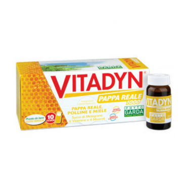 VITADYN PAPPA REALE 1000 10 FLACONCINI