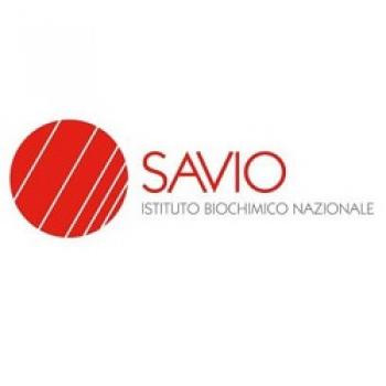 I.B.N. SAVIO Srl